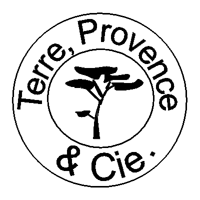 Thème des stages : initiation perfectionnement, terre vernissée, raku